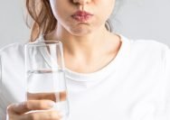 Sumber gambar asset.kompas.com