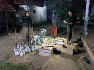 Rumah Produksi Mercon di Bangkalan Terendus Polisi 6 Mercon