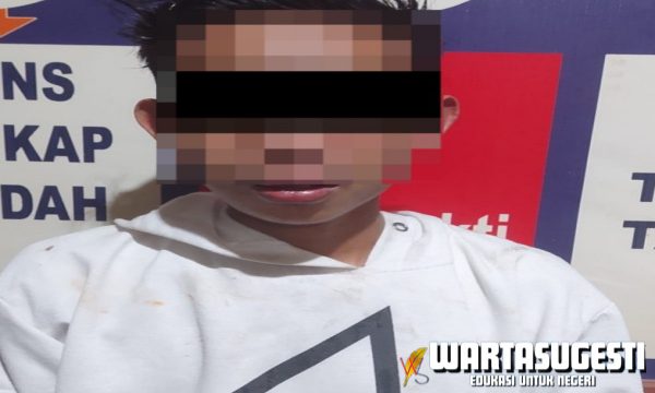 Boy, Pelaku Asusila di Gunung Labuhan Diringkus Polisi Way Kanan 1 Pelaku
