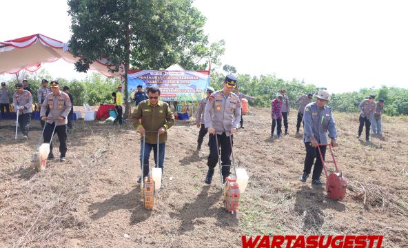 Polres Tabalong Tanam Jagung Dukung Program Swasembada Pangan Presiden Prabowo 1 IMG 20260308 WA0008 TNI-Polri