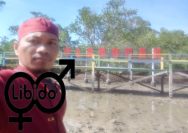 IMG 20211012 141139 Apel