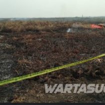 Polres Hulu Sungai Selatan Amankan Pembakar Lahan di Dusun Karangan 3 Hulu sungai selatan
