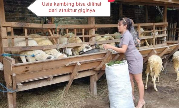 IMG 20240602 085805 Agama