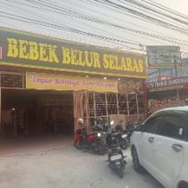Bebek belur selaras