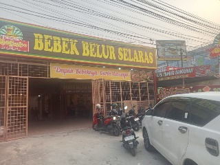 Bebek belur selaras
