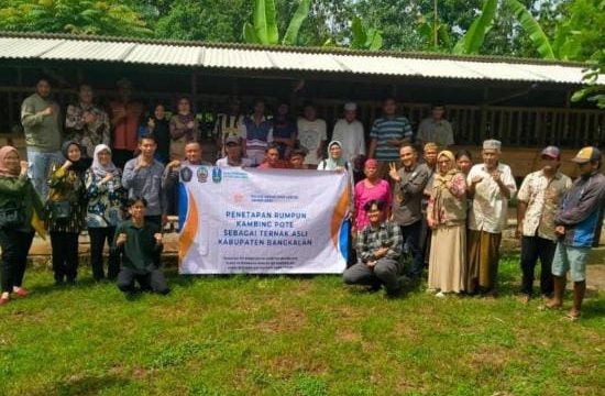 Disnak Jatim dan UB Tetapkan Kambing Pote Asli Kabupaten Bangkalan 1 IMG 20240710 WA0007 Daerah