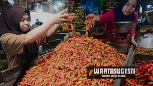 Harga Cabai di Surabaya Makin Pedas Tembus Rp 95 Ribu/Kg 1 IMG 20240725 WA0048 Ekonomi