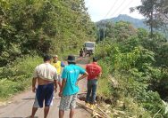 IMG 20250921 WA0025 Jalan Desa