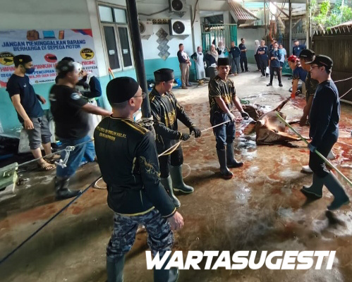 RS Islam Banjarmasin Potong Hewan Wujud Keikhlasan dan Kepedulian Sosial 1 RS Islam