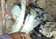 Screenshot 20240729 141534 Polres Bangkalan