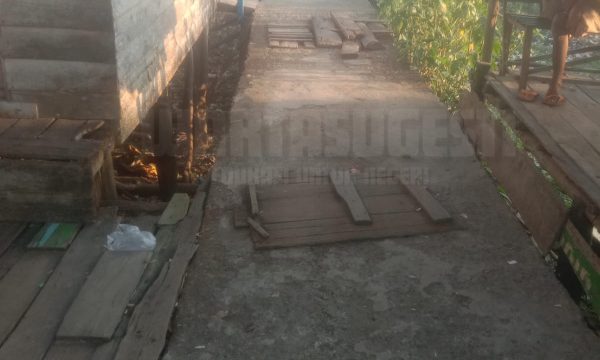 Jalan di Desa Pedamaran VI Rusak, Kades Cuek Warga Berjuang Sendiri 1 IMG 20240805 WA0052 Daerah