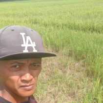 IMG 20260617 WA0014 Pemkab Way Kanan