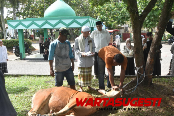Idul Adha 1447 H, Dandim 1002/HST Salurkan Dua Sapi dan 2 Domba Kurban 1 Idul Adha