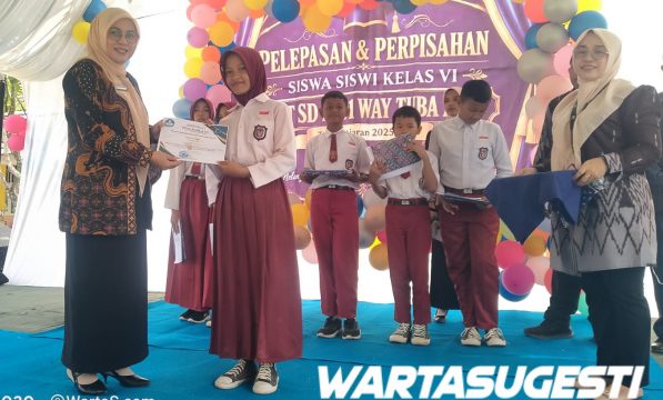 SDN 1 Way Tuba