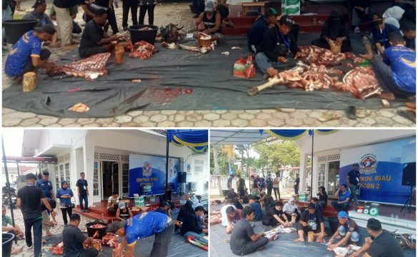 Nasdem Propinsi Riau