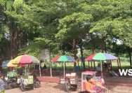 Taman kandawa