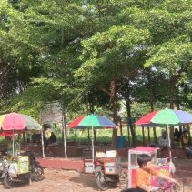 Taman kandawa