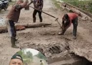 Pemkab Way Kanan Abaikan Keluhan Warga Kampung Pisang Indah Swadaya Perbaiki Jembatan 1 Pisang indah