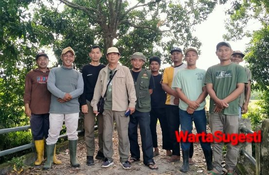 Responsif, BKSDA Bengkulu Pantau Buaya Besar di Sungai Kali Krupuk 1 IMG 20250831 WA0045 Daerah