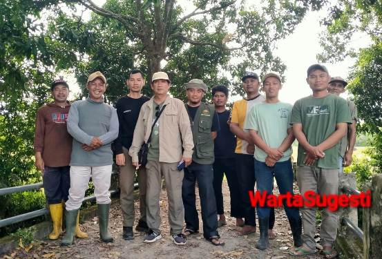 Responsif, BKSDA Bengkulu Pantau Buaya Besar di Sungai Kali Krupuk 1 IMG 20250831 WA0045 Bengkulu