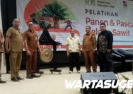 Best Planter Indonesia Latih 185 Petani di Riau Terkait Panen Kelapa Sawit 2 Petani