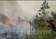 DPW ALUN Kalsel Prihatin Kondisi Kebakaran Hutan di Bumi Borneo 3 Alun