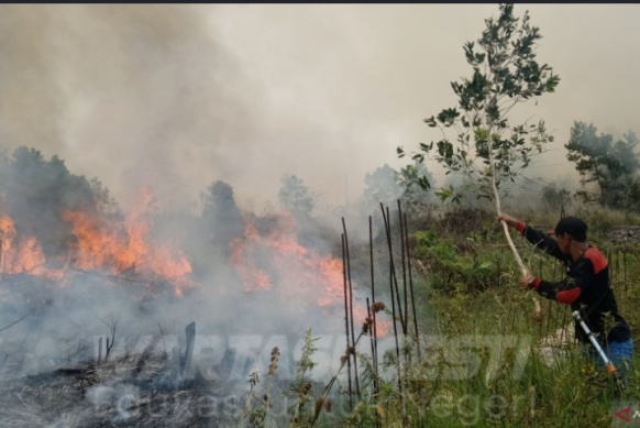 DPW ALUN Kalsel Prihatin Kondisi Kebakaran Hutan di Bumi Borneo 1 Alun